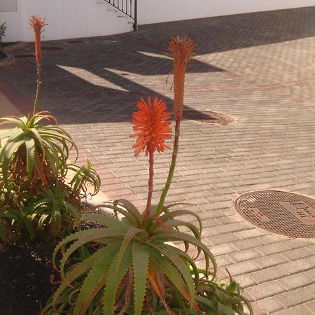 Villas Salinas De Matagorda Экстерьер фото