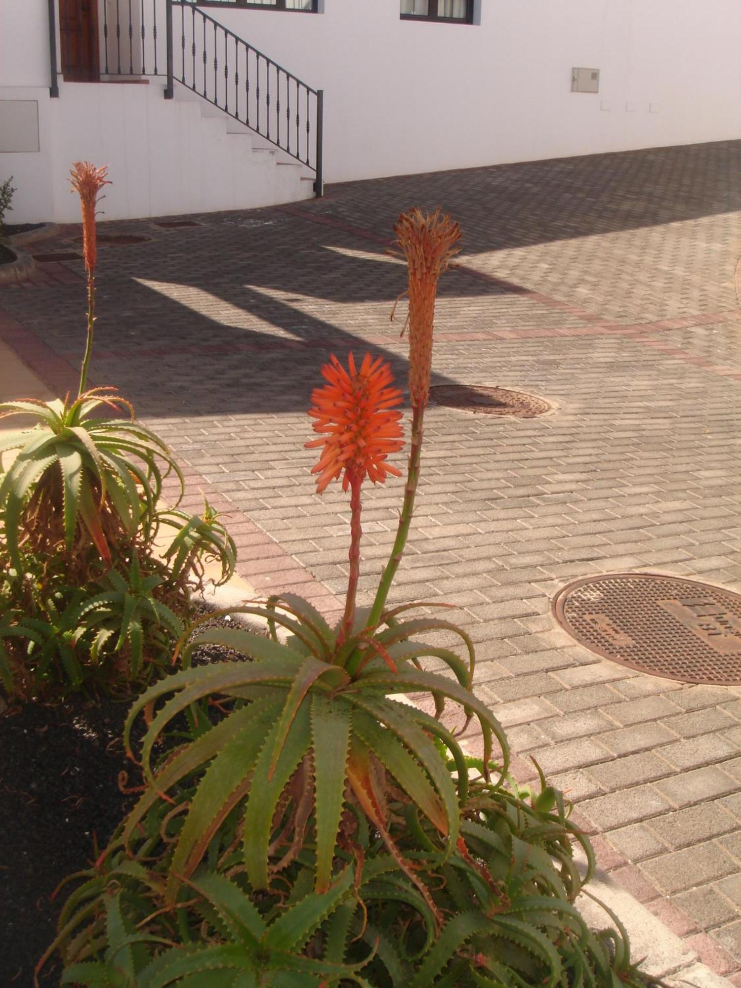 Villas Salinas De Matagorda Экстерьер фото